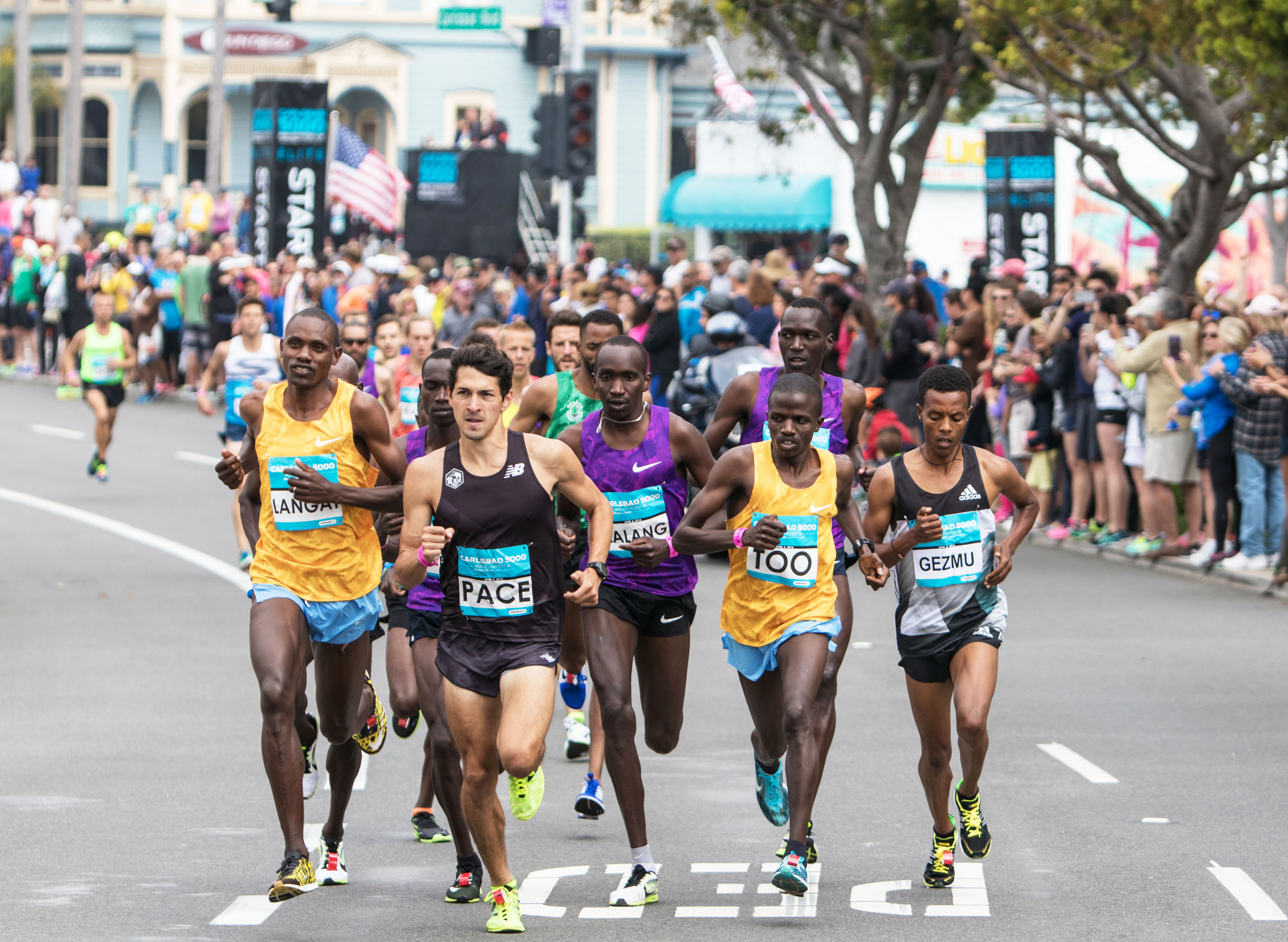 Lead Pack4